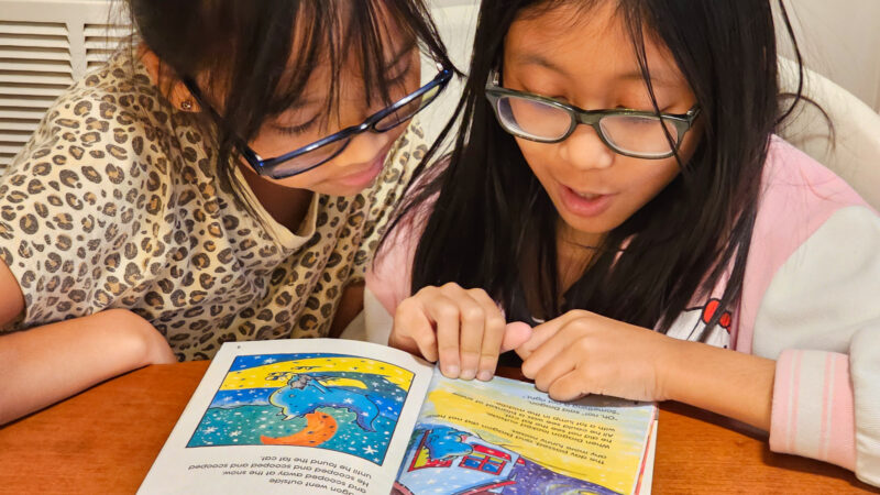 Cottage Cove Reading